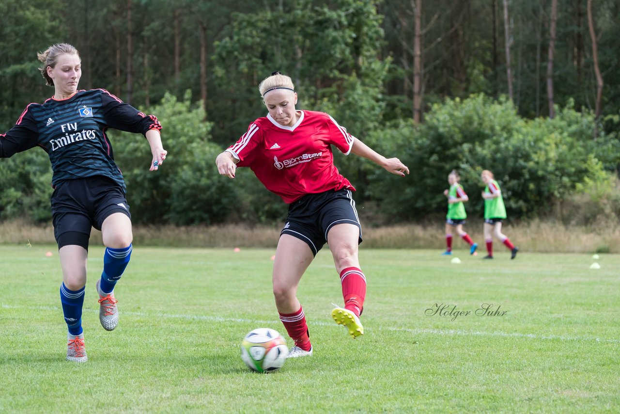 Bild 212 - Frauen SG NieBar - HSV 2 : Ergebnis: 4:3